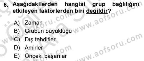 Sosyal Psikoloji 2 Dersi 2024 - 2025 Yılı (Vize) Ara Sınav Soruları 6. Soru