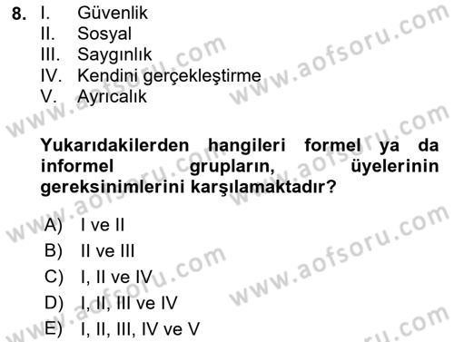 Sosyal Psikoloji 2 Dersi 2024 - 2025 Yılı (Vize) Ara Sınav Soruları 8. Soru