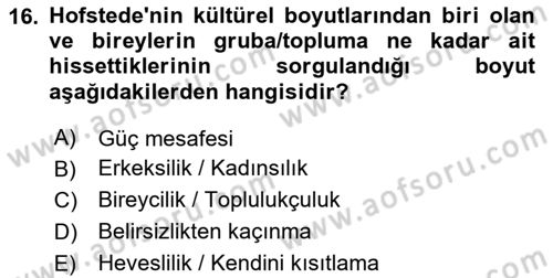 Sosyal Psikoloji 2 Dersi 2024 - 2025 Yılı (Final) Dönem Sonu Sınav Soruları 16. Soru