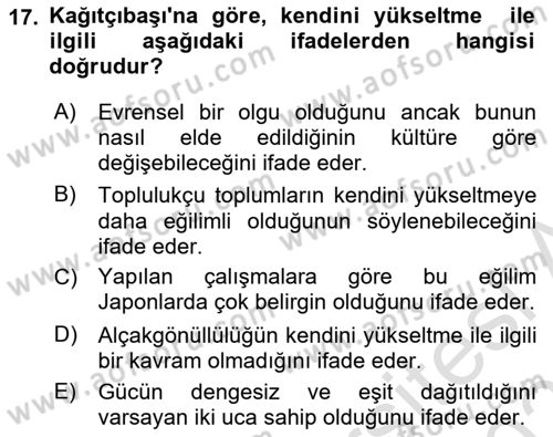 Sosyal Psikoloji 2 Dersi 2025 - 2026 Yılı Yaz Okulu Sınav Soruları 17. Soru