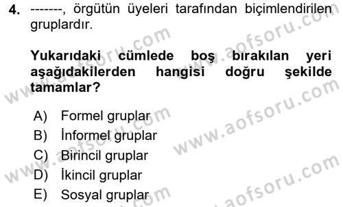 Sosyal Psikoloji 2 Dersi 2025 - 2026 Yılı Yaz Okulu Sınav Soruları 4. Soru