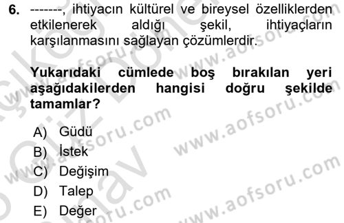 Pazarlama İlkeleri Dersi 2024 - 2025 Yılı (Vize) Ara Sınav Soruları 6. Soru