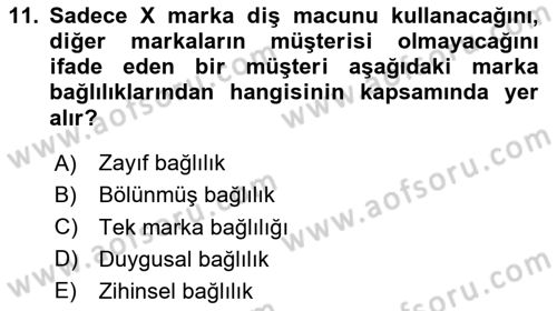 Müşteri İlişkileri Yönetimi Dersi 2024 - 2025 Yılı (Vize) Ara Sınav Soruları 11. Soru