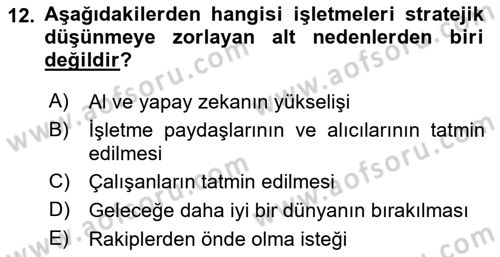 Müşteri İlişkileri Yönetimi Dersi 2024 - 2025 Yılı Yaz Okulu Sınav Soruları 12. Soru