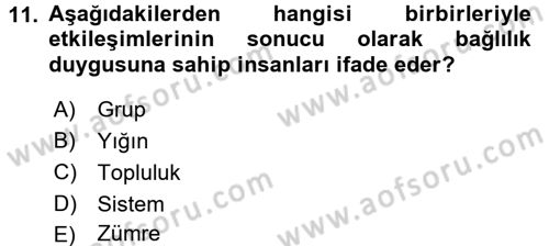 Tüketici Davranışları Dersi 2017 - 2018 Yılı (Final) Dönem Sonu Sınav Soruları 11. Soru