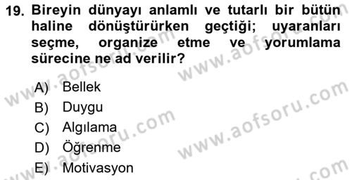 Tüketici Davranışları Dersi 2019 - 2020 Yılı (Vize) Ara Sınav Soruları 19. Soru