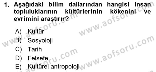 Tüketici Davranışları Dersi 2021 - 2022 Yılı Yaz Okulu Sınavı 1. Soru