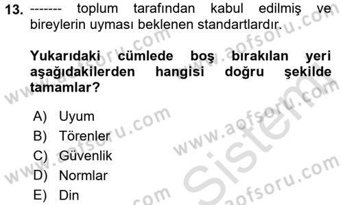 Tüketici Davranışları Dersi 2021 - 2022 Yılı Yaz Okulu Sınavı 13. Soru