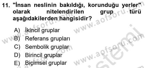 Tüketici Davranışları Dersi 2022 - 2023 Yılı (Final) Dönem Sonu Sınav Soruları 11. Soru