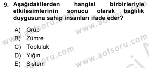 Tüketici Davranışları Dersi 2023 - 2024 Yılı (Final) Dönem Sonu Sınav Soruları 9. Soru