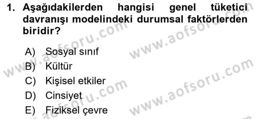 Tüketici Davranışları Dersi 2023 - 2024 Yılı Yaz Okulu Sınavı 1. Soru