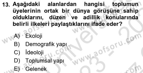 Tüketici Davranışları Dersi 2023 - 2024 Yılı Yaz Okulu Sınav Soruları 13. Soru