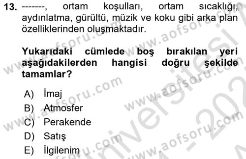 Tüketici Davranışları Dersi 2024 - 2025 Yılı (Vize) Ara Sınavı 13. Soru