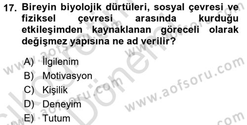 Tüketici Davranışları Dersi 2024 - 2025 Yılı (Vize) Ara Sınav Soruları 17. Soru