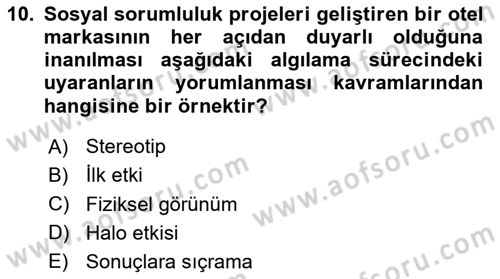 Tüketici Davranışları Dersi 2024 - 2025 Yılı Yaz Okulu Sınav Soruları 10. Soru