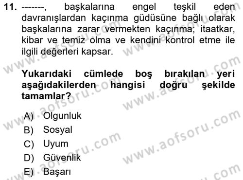Tüketici Davranışları Dersi 2024 - 2025 Yılı Yaz Okulu Sınav Soruları 11. Soru