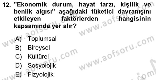 Tüketici Davranışları Dersi 2024 - 2025 Yılı Yaz Okulu Sınav Soruları 12. Soru