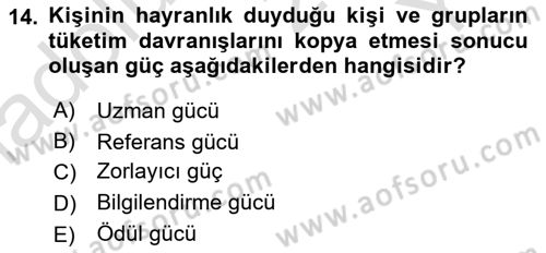 Tüketici Davranışları Dersi 2024 - 2025 Yılı Yaz Okulu Sınav Soruları 14. Soru