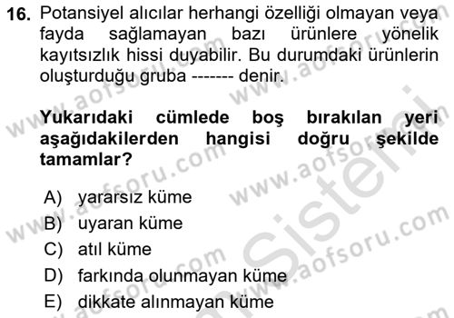 Tüketici Davranışları Dersi 2024 - 2025 Yılı Yaz Okulu Sınav Soruları 16. Soru