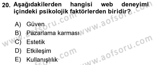 Tüketici Davranışları Dersi 2024 - 2025 Yılı Yaz Okulu Sınav Soruları 20. Soru