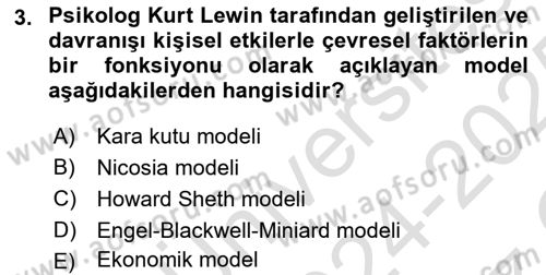 Tüketici Davranışları Dersi 2024 - 2025 Yılı Yaz Okulu Sınav Soruları 3. Soru