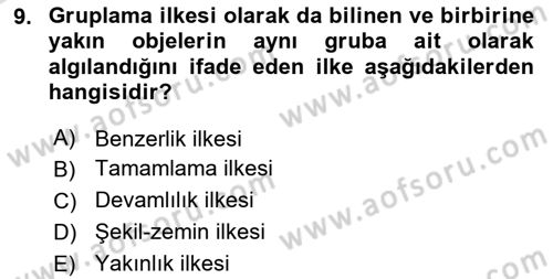 Tüketici Davranışları Dersi 2024 - 2025 Yılı Yaz Okulu Sınav Soruları 9. Soru
