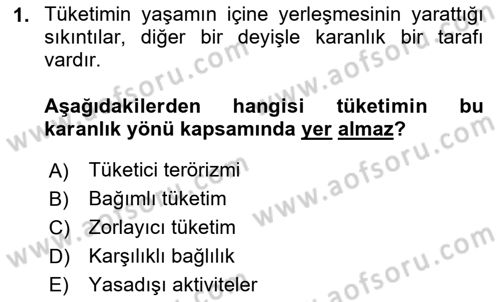 Tüketici Davranışları Dersi 2025 - 2026 Yılı (Vize) Ara Sınav Soruları 1. Soru