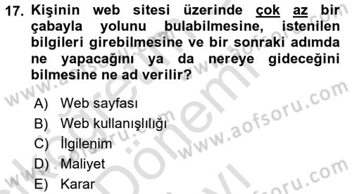 Tüketici Davranışları Dersi 2025 - 2026 Yılı (Final) Dönem Sonu Sınav Soruları 17. Soru