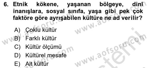 Tüketici Davranışları Dersi 2025 - 2026 Yılı (Final) Dönem Sonu Sınav Soruları 6. Soru