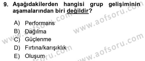 Tüketici Davranışları Dersi 2025 - 2026 Yılı (Final) Dönem Sonu Sınav Soruları 9. Soru