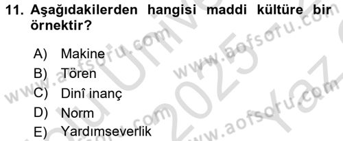 Tüketici Davranışları Dersi 2025 - 2026 Yılı Yaz Okulu Sınav Soruları 11. Soru