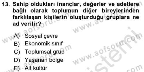 Tüketici Davranışları Dersi 2025 - 2026 Yılı Yaz Okulu Sınav Soruları 13. Soru