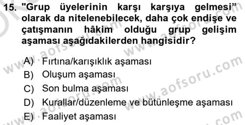 Tüketici Davranışları Dersi 2025 - 2026 Yılı Yaz Okulu Sınav Soruları 15. Soru