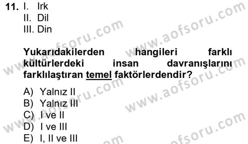 Uluslararası Pazarlama Dersi 2014 - 2015 Yılı (Vize) Ara Sınav Soruları 11. Soru