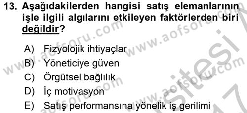 Satış Yönetimi Dersi 2016 - 2017 Yılı (Vize) Ara Sınav Soruları 13. Soru