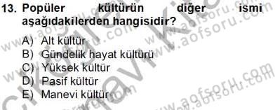 Eğlence Pazarlaması Dersi 2013 - 2014 Yılı Tek Ders Sınav Soruları 13. Soru