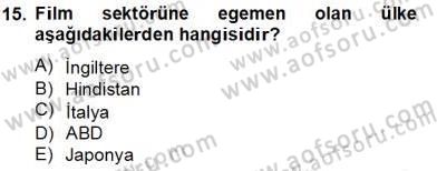 Eğlence Pazarlaması Dersi 2013 - 2014 Yılı Tek Ders Sınav Soruları 15. Soru