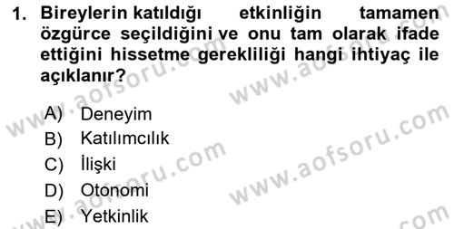 Eğlence Pazarlaması Dersi 2024 - 2025 Yılı (Vize) Ara Sınav Soruları 1. Soru