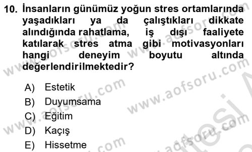 Eğlence Pazarlaması Dersi 2024 - 2025 Yılı (Vize) Ara Sınav Soruları 10. Soru