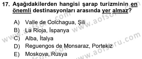 Eğlence Pazarlaması Dersi 2024 - 2025 Yılı (Vize) Ara Sınav Soruları 17. Soru