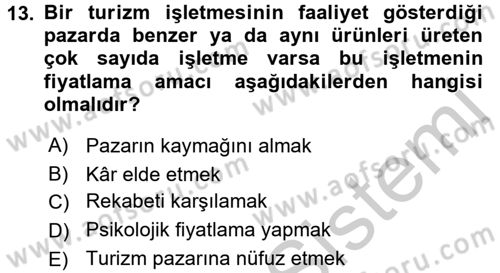Turizm Pazarlaması Dersi 2016 - 2017 Yılı (Vize) Ara Sınav Soruları 13. Soru