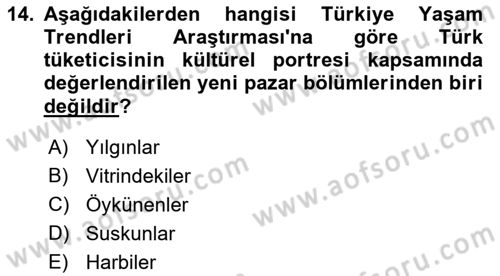 Turizm Pazarlaması Dersi 2021 - 2022 Yılı Yaz Okulu Sınav Soruları 14. Soru