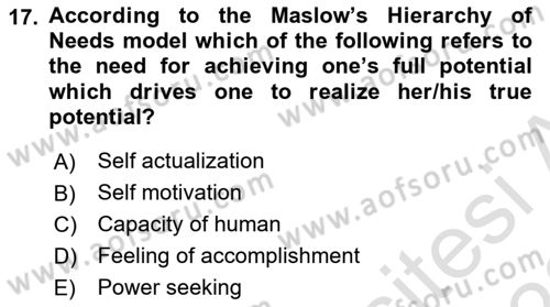 Principles Of Marketing Dersi 2022 - 2023 Yılı (Final) Dönem Sonu Sınav Soruları 17. Soru