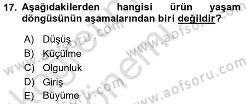 Havayolu Pazarlaması Dersi 2019 - 2020 Yılı (Vize) Ara Sınav Soruları 17. Soru