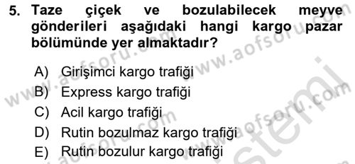 Havayolu Pazarlaması Dersi 2022 - 2023 Yılı (Vize) Ara Sınavı 5. Soru