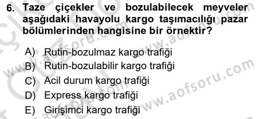 Havayolu Pazarlaması Dersi 2023 - 2024 Yılı (Vize) Ara Sınavı 6. Soru