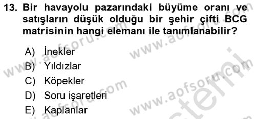 Havayolu Pazarlaması Dersi Ara Sınavı Deneme Sınav Soruları 13. Soru