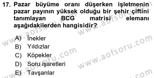 Havayolu Pazarlaması Dersi 2025 - 2026 Yılı (Vize) Ara Sınav Soruları 17. Soru