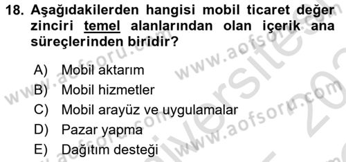 İnternet Ve Mobil Pazarlama Dersi 2023 - 2024 Yılı Yaz Okulu Sınav Soruları 18. Soru