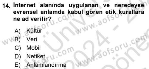İnternet Ve Mobil Pazarlama Dersi 2024 - 2025 Yılı (Final) Dönem Sonu Sınav Soruları 14. Soru